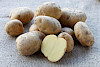 Allerfrüheste Gelbe