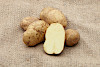 Bodenkraft
